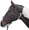 Y-H Hy Rope Halfter, schwarz, Cob/Full