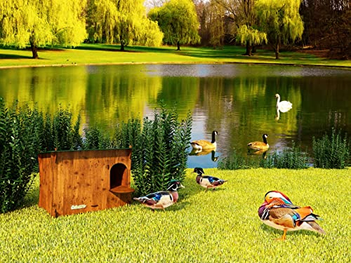 CUCCIOLOTTA Ducky Größe M Häuschen/Nistkasten für Enten aus HPL-Laminat, milbendicht, rot