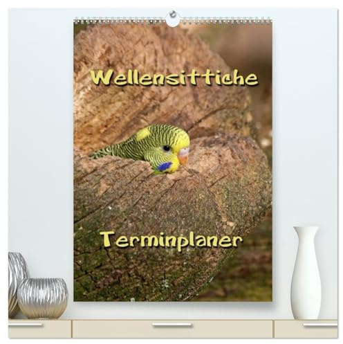 Wellensittiche Terminplaner (hochwertiger Premium Wandkalender 2026 DIN A2 hoch), Kunstdruck in Hochglanz: Muntere und freche Vögel (CALVENDO Tiere)