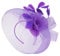 Caprilite Purple Fascinator Headband Veil Wedding Ascot Races Net Hat Feathers Hatinator