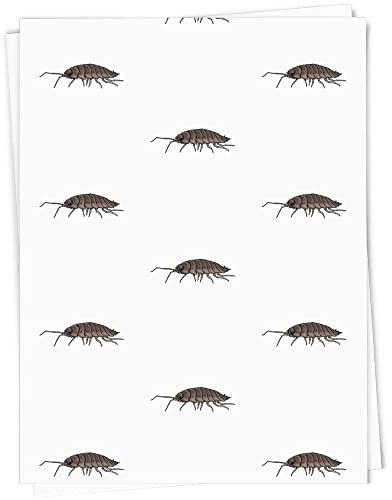 5 x A1 'Assel' Geschenkverpackung/Papierrolle (GI00049908)