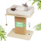 XXL Premium Kratzbaum mit Katzenbett | EXTRA-Breite Kratzsäule aus Birkenholz | 25kg Belastbar & Dickes Sisal & Bio-Leinenkissen | Einfache Montage Katzenmöbel