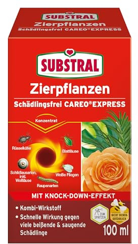 Substral Zierpflanzen Schädlingsfrei CAREO Express 100 ml Konzentrat | Gegen saugende und beißende Schädlinge | Mit Pyrethrum und Rapsöl | April bis September