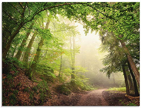 ARTland Wanddeko Glasbilder Wandbild Glas Bild einteilig 80x60 cm Querformat Wald Baum Natur Landschaft Nebel Sonne Sommer Landhaus T5GR