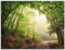 ARTland Wanddeko Glasbilder Wandbild Glas Bild einteilig 80x60 cm Querformat Wald Baum Natur Landschaft Nebel Sonne Sommer Landhaus T5GR