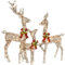 Reindeer Beleuchtete Weihnachtsdekoration Hirsch 3 Stück HOYECHI Beleuchtete Zierpflanzen Rentier Familie Set für Innen Außen mit LED Lichtern Decoration SteckerVerlängerungskabel,Erdspieße-Braun