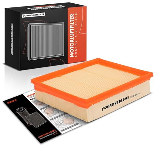 Frankberg 1x Filtro Aria Benzina Compatibile con Classe A W169 A150 A160 A170 A180 A200 1.5L-2.0L 2004-2012 Classe B W245 B150 B160 B170 B180 B200 1.5L-2.0L 2005-2011 Replace# 2660940004
