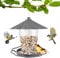 Mezere Bird Feeders Hanging Station Window Bird Feeder UK, Wild Bird Feeders for Small Birds Adjustable Robin Bird Feeder with Wire and Roof, Bird Seed Feeder for Garden Backyard
