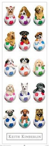 Kimberlin, Keith - Balls - Türposter Türposter Hunde - Grösse 53x158 cm