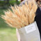 Jangostor 100 Stück Getrockneter Weizen, 43 cm Beige Weizenstiele Getrocknete Weizenblumen Natürliche getrocknete Weizenstiele für Hochzeit Thanksgiving Dekor Herbst Home Dekor DIY Bastelhandwerk
