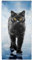 YISUMEI Mikrofaser Strandtuch XXL, Strandhandtuch Leicht Badehandtuch Schnelltrocknend, Schwarze Katze, 180 x 90 cm