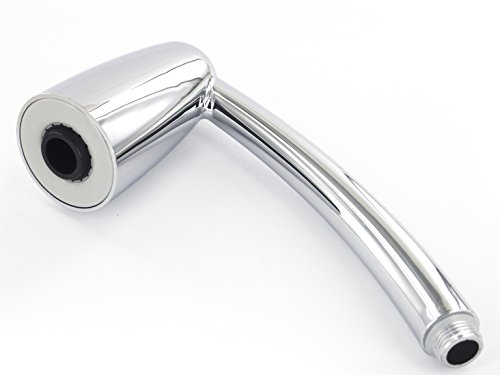 Douchette Pommeau de Douche Spa Haute Pression Economiseur d'Eau M558