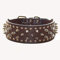 haoyueer Collar de piel sintética con tachuelas para perros medianos y grandes, pitbull, mastín, matón, boxeador (S, marrón oscuro)