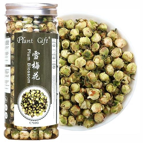 Plant Gift Snow Plum Blossom Tea, 60G/2.11oz 雪梅花 Schneepflaumenblütentee, Blüte Teeblume, chinesische getrocknete Pflaumen, Gesundheitstee
