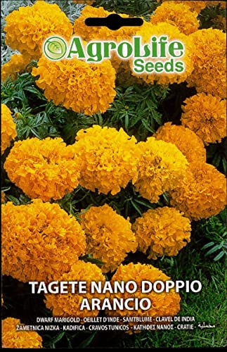 TAGETE NANO DOPPIO ARANCIO SEMI IN BUSTINA