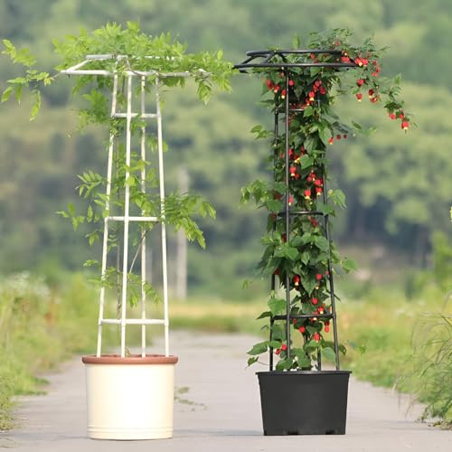 Garten-Rankgitterschirm – 2,3 m Kletterpflanzenstütze für Reben, Blumen, Tomaten, Gurken & Gemüse – Stabiler Turm für Hochbeete (Weiß)