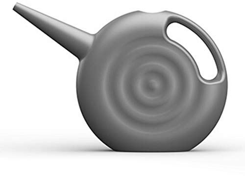 Blowmold.Design Gießkanne in Silber – 2 Liter Giesskanne Robust für Innen und Außen - Perfekt für Zimmerpflanzen & Garten