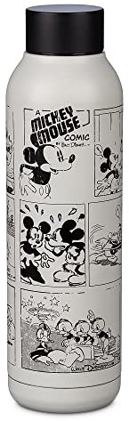 Disney Mickey Mouse and Friends Comic Stainless Steel Water Bottle