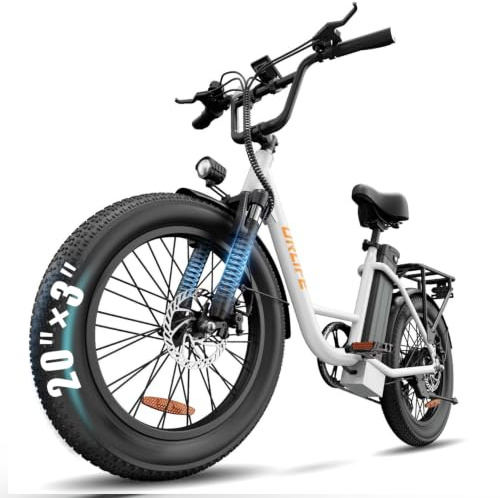 URLIFE E-Bike für Erwachsene, 20 * 3.0 Fetter Reifen Elektrofahrrad Für Stadtpendler, 48V 13Ah Austauschbarem Akku bis 100KM, 250W Motor Elektrofahrräder Für Herren Damen