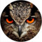 Slipmat Slip Mat Scratch Pad Felt for any 12 LP DJ Vinyl Turntable Record Player Custom Graphical - Owl 1