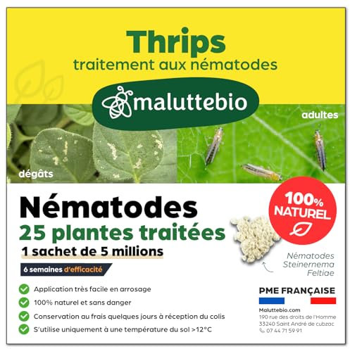 Nematodes contre les Thrips – Produit naturel et 100% efficace pour éliminer les thrips des plantes intérieures et extérieures – Longue durée et Sans danger (Pour traiter jusqu'à 15 m²)