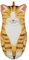 kesurpae Heat-Resistant Cooking Glove With Cute Non-Toxic And Durable Oven And Baking Polyester Microwave Oven And Baking Gloves, big orange cat