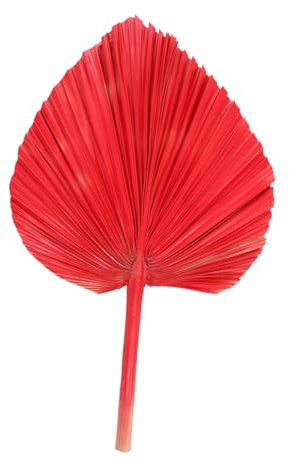 HOLIDYOYO Deko-Archway Getrockneten Palmblättern Für Hochzeiten Und Partys Farbige Palmblatt-Dekoration Für Blumenarrangements Und Festliche Anlässe Langlebig Und Vielseitig Einsetzbar