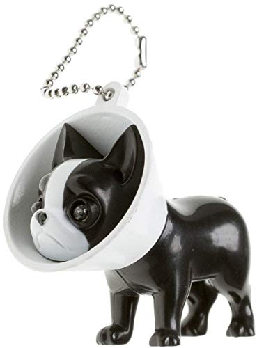 GamaGo GG2005 Entonnoir de la Honte Porte Clés