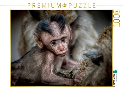 CALVENDO Puzzle Makake | 1000 Teile Lege-Größe 64 x 48 cm Foto-Puzzle für glückliche Stunden