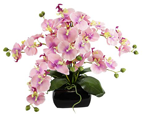 Schmetterling Orchidee 40cm mit Blätter und Luftwurzeln in Schale aus Keramik Künstliche Blume Kunstorchidee Phalaenopsis mit Übertopf Kunstpflanze Hochzeit Deko Seidenblume Real Touch Blüte rosa