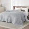 BEDSURE Kuscheldecke Flauschig Decke Fleecedecke - Wohndecke Warm Winter Weich, Sofadecke XXL, Decke Couch Blanket, Wohn- & Kuscheldecken Große 230x270cm, Sofa überwurfdecke Hellgrau