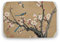Tapis de bain traditionnel chinois, motif oiseau sur prunier, doux et absorbant, en velours corail, antidérapant, séchage rapide, 40 x 60 cm