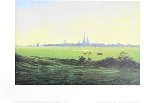 Caspar David Friedrich Wiesen bei Greifswald Poster Kunstdruck