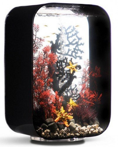 Oase biOrb Life 60 MCR Aquarium, Glas, Schwarz, Modern, Mehrzweck (Süß- und Meerwasser), 42 x 28 x 62 cm, 10 kg, Fisch, 470586031