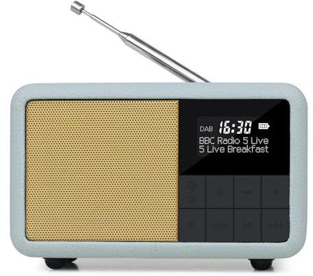 Portable DAB+ Radio with Bluetooth I Rechargeable Battery 12hr Play or Mains Powered | IPX4 Water Resistant | Small DAB Radio with Alarm Clock | FM Radio, 40 Presets, Headphone Jack | LEMEGA