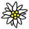 Copytec Aufkleber/Sticker -Edelweiß Bergsteiger Wappen Abzeichen Emblem Bundeswehr passend Für VW Golf Polo GTI MBW 3er Mercedes Audi Opel 7x7cm #A1159