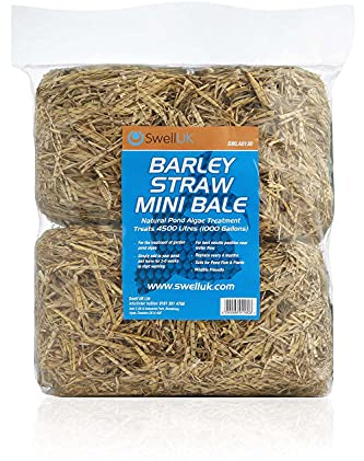 Swell Barley Straw Mini 2 pack. Barley Straw for Ponds to act as Pond Cleaner and Algae Treatment