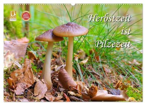 Herbstzeit ist Pilzezeit (Wandkalender 2026 DIN A2 quer), CALVENDO Monatskalender: Ein herbstlicher Streifzug durch den bunten Wald (CALVENDO Natur)