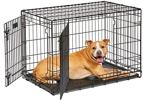 MidWest Homes for Pets Life Stages Modell 1636DDU Hundebox, mittelgroß, Doppeltür, faltbar, Metall, 91 cm lang, mit Trenneinsatz, Bodenschutz, auslaufsicherer Wanne, für mittelgroße Hunde, schwarz