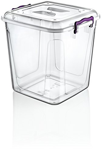 HOBBY LIFE 20 Litre Plastic Pantry Box, Transparent