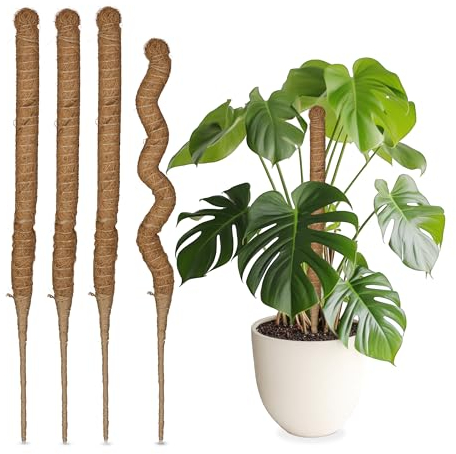 Relaxdays Kokosstäbe im 5er Set, biegsame Pflanzenstäbe, für Monstera, Efeutute und mehr, 60 cm lang, Kokosfaser, Natur