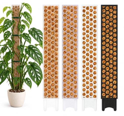 Nils der Pflanzenfreund® Moosstab 53 cm (XL) 3 Stück, Klar – Moss Pole, erweiterbare Rankhilfe für Monstera & Kletterpflanzen, Pflanzenstab für Indoor Pflanzen