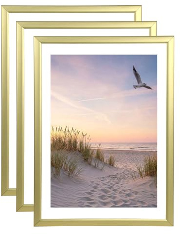 IDEAL TREND 3er 5er 10er Set Bilderrahmen Fotorahmen aus Kunststoff Bilder Foto Posterrahmen Collage AC-6 Wanddeko: Farbe: 3er Pack Gold | Format: 30x45