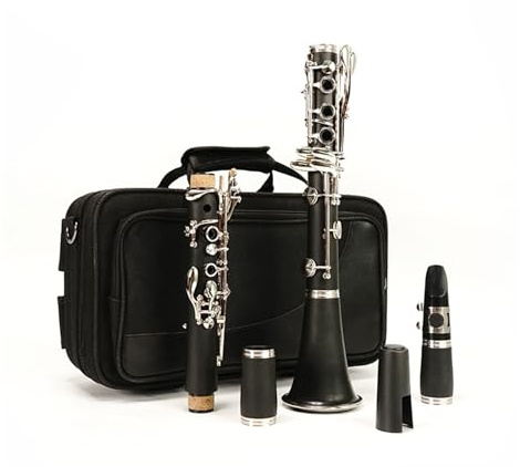 Klarinette Instrument 17-Tasten-Klarinette Aus Hartem Bakelit, Vernickelte Klappe, B-Klarinette Mit Aufbewahrungsbox