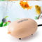 FEDOUR Mini Fish Tank Air Pump, Quiet Fish Tank Oxygen Pump with Single Outlet, Aquarium Air Bubbler with Complete Accessories for up to 75L Fish Tanks, Betta Tanks, Shrimp Tanks