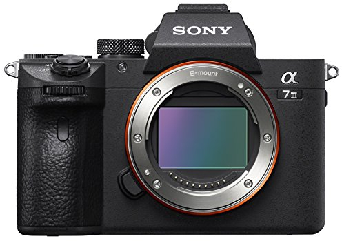 A7 Mark III mit 24-105/4,0 OSS (ILCE7M3GBDI)