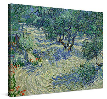 PICANOVA – Vincent Van Gogh Olive Orchard 40x30 cm – Bild auf Leinwand – Leinwandbild – Premium Leinwanddruck – Kunstdruck Auf 2cm Holz-Keilrahmen Für Schlaf- Und Wohnzimmer