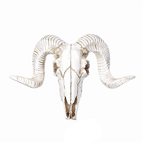HOMFLON Wall Hanging Resin Ram Skull Ornament Sheep Head Animal Art Sculpture Decorations