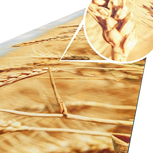 ANRO Küchenteppich Küchenläufer Teppich Läufer Küche abwischbar rutschfest Design Ähre 200 x 52cm