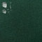 PINaPIN Wasserdichter Polyesterstoff 100% Polyester Stoffe meterware zum nähen Gartenmöbel, Schirme, Vorhänge für Garten 100x160 cm (GRÜN)